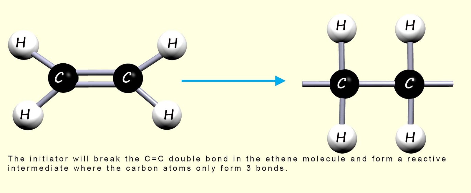 An unsaturated ethene molecule with the C=C split to form a single C-C bond after the addition of an initiator